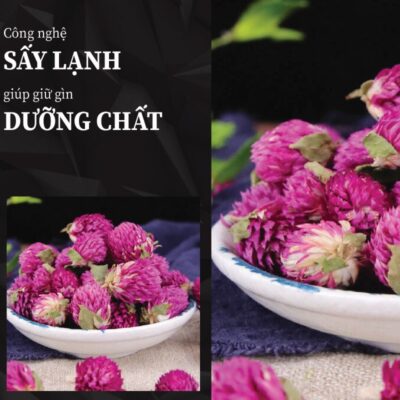 Hoa bách nhật sấy khô nhà THAPHACO