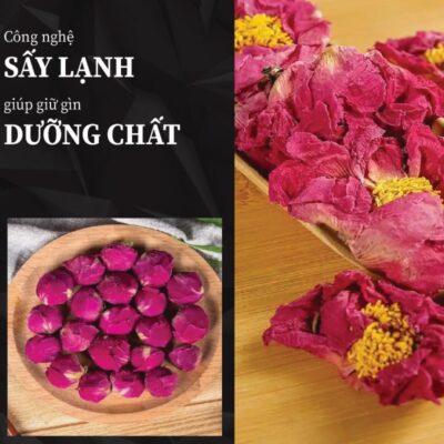 Hoa mẫu đơn nguyên chất nhà THAPHACO