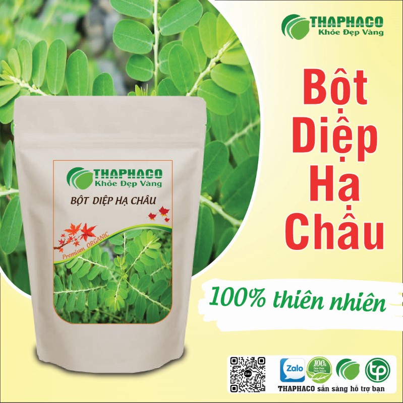 Trà bột diệp hạ châu sấy khô nguyên chất 