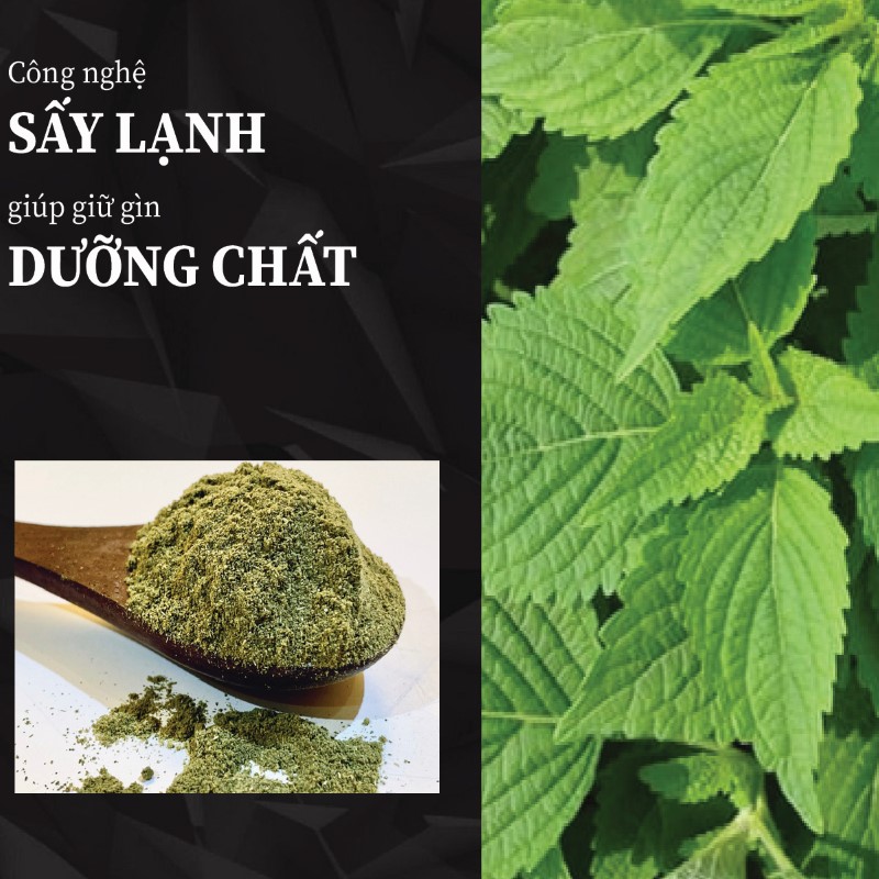 1kg trà bột kinh giới tuệ khô giá rẻ chất lượng cao 