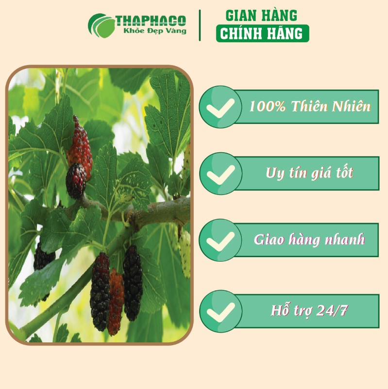 Địa chỉ bán bột lá dâu tằm khô 1kg giá rẻ tại TP.HCM