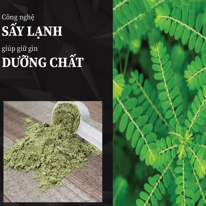 1kg trà bột lá diệp hạ châu khô giá rẻ chất lượng cao 