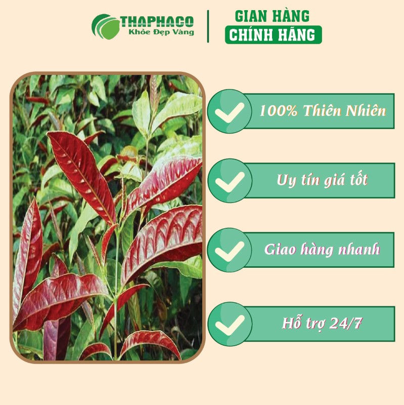 Địa chỉ bán bột lá đơn đỏ khô 1kg giá rẻ tại TP.HCM