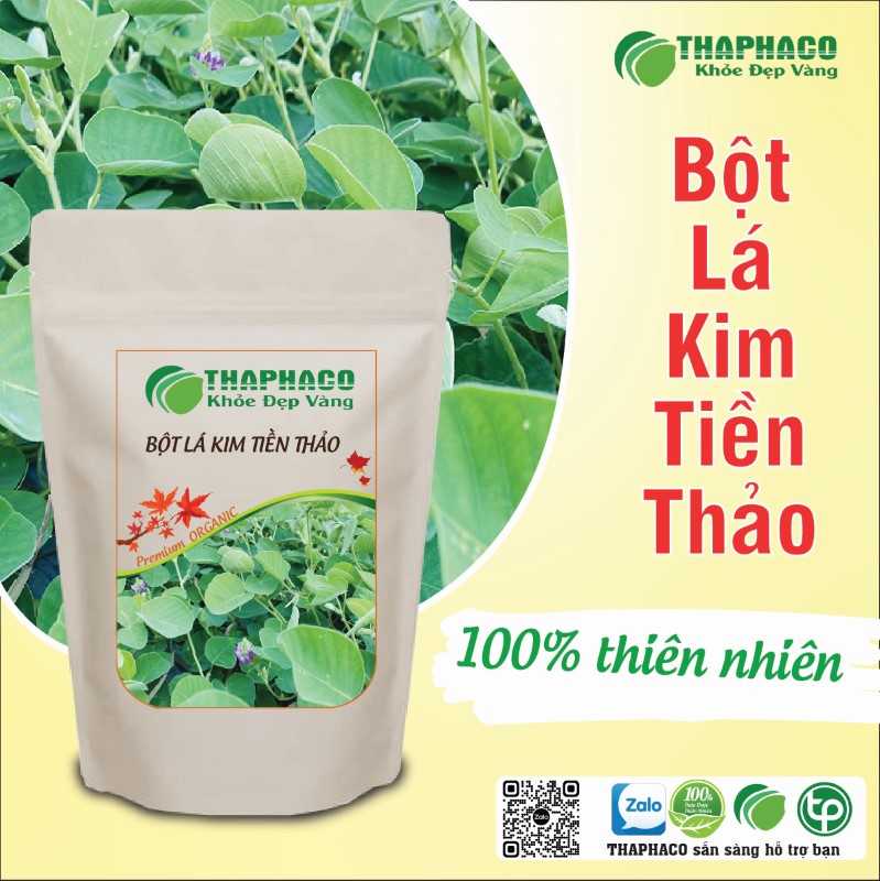 Trà bột lá kim tiền thảo sấy khô nguyên chất 