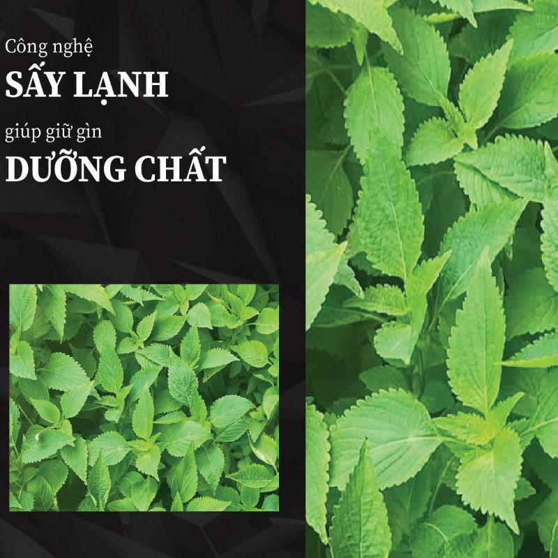 1kg trà bột lá kinh giới khô giá rẻ chất lượng cao 