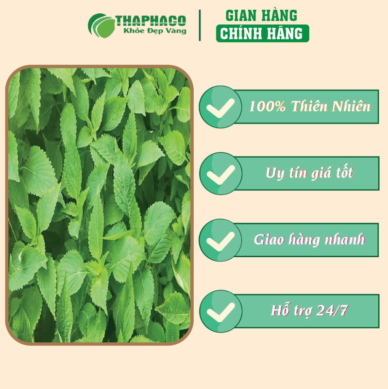 Địa chỉ bán bột lá kinh giới khô 1kg giá rẻ tại TP.HCM