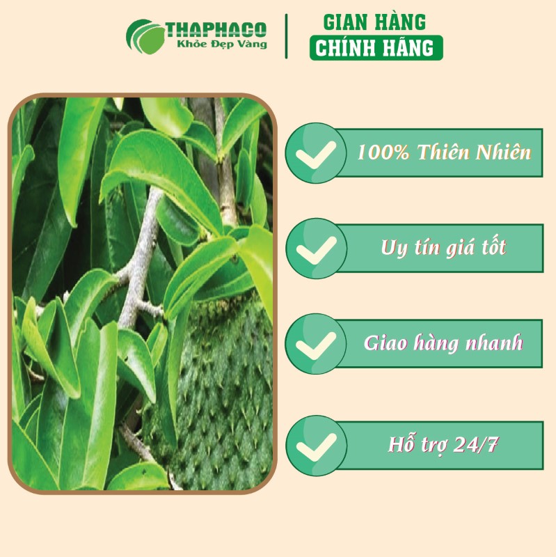 Địa chỉ bán bột lá mãng cầu khô 1kg giá rẻ tại TP.HCM