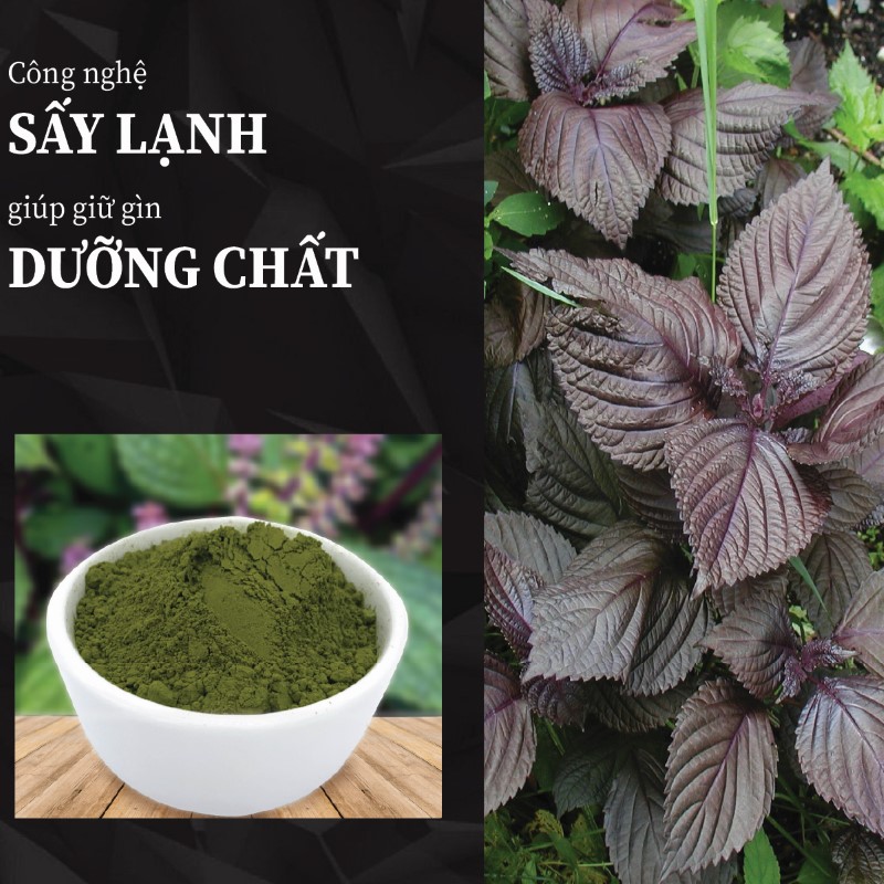 1kg trà bột lá tía tô khô giá rẻ chất lượng cao 