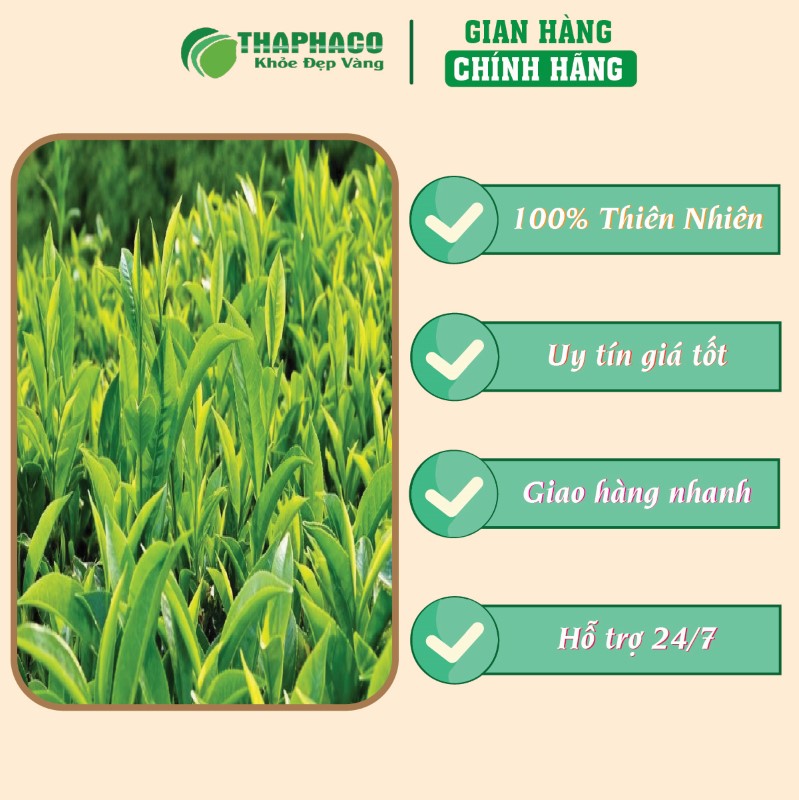 Địa chỉ bán bột lá trà xanh Matcha khô 1kg giá rẻ tại TP.HCM