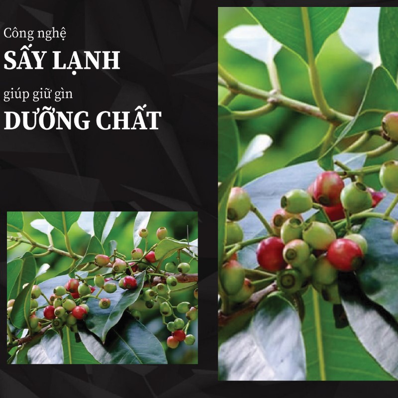 1kg trà bột lá vối khô giá rẻ chất lượng cao 