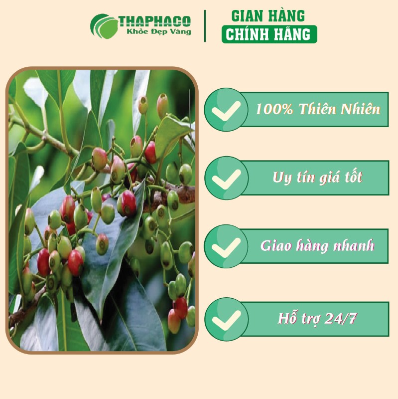 Địa chỉ bán bột lá vối khô 1kg giá rẻ tại TP.HCM