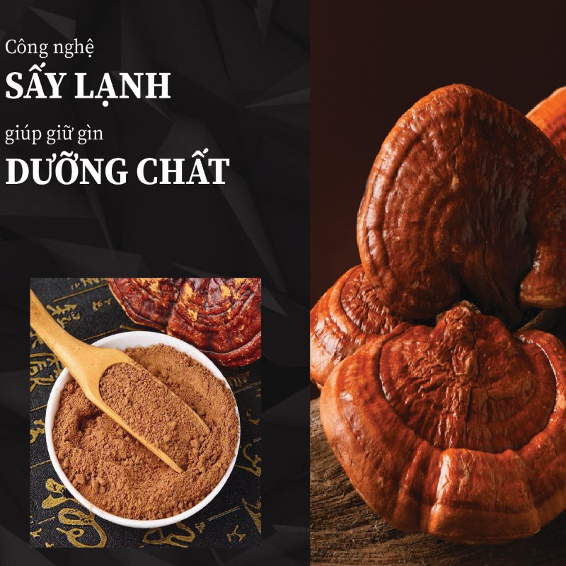1kg trà bột nấm linh chi khô giá rẻ chất lượng cao