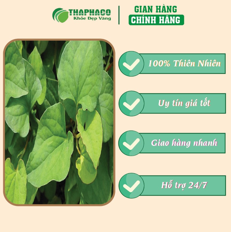 Địa chỉ bán bột rau diếp cá khô 1kg giá rẻ tại TP.HCM