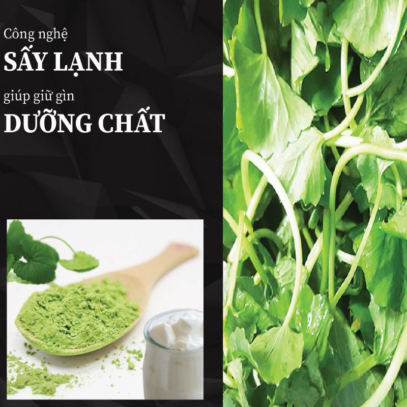 1kg trà bột rau má khô giá rẻ chất lượng cao 