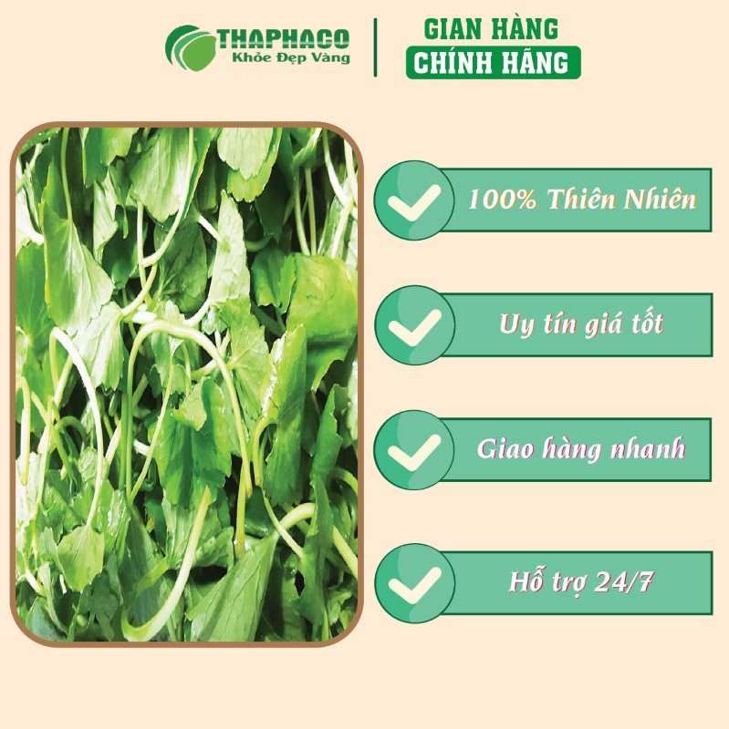 Địa chỉ bán bột rau má khô 1kg giá rẻ tại TP.HCM
