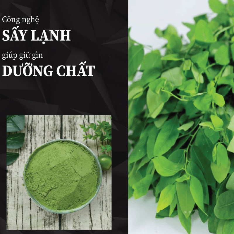 1kg trà bột rau ngót khô giá rẻ chất lượng cao