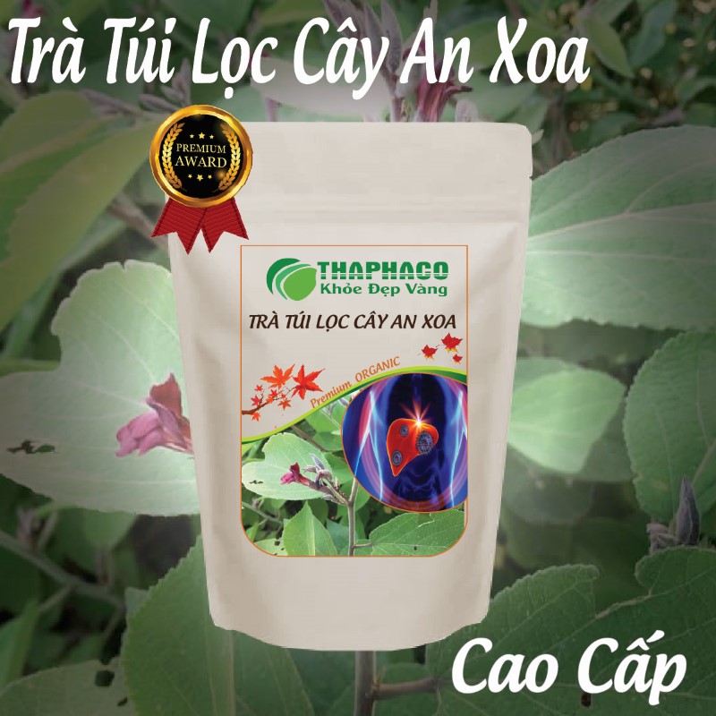 Chỗ mua nguyên liệu pha trà cây an xoa túi lọc giá rẻ tại TP.HCM