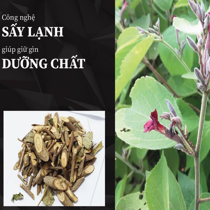 Trà túi lọc cây an xoa sấy khô giá tốt tại TP.HCM