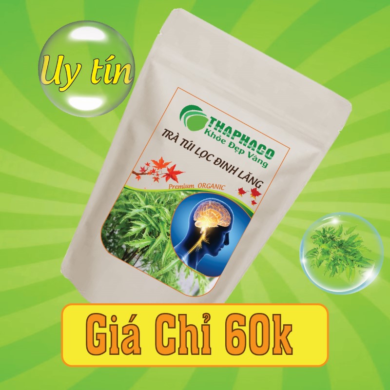 Nguyên liệu pha trà lá đinh lăng có giá bán chỉ 60k