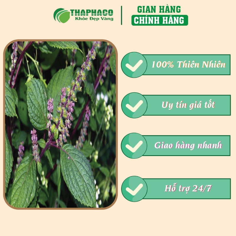 Trà túi lọc hương nhu thiên nhiên giá tốt chất lượng 