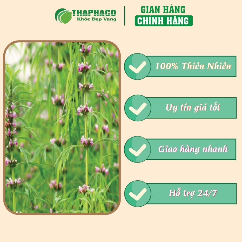 Trà túi lọc ích mẫu giá tốt chất lượng uy tín 