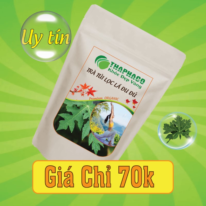 Nguyên liệu pha trà lá đu đủ túi lọc có giá bán 70k