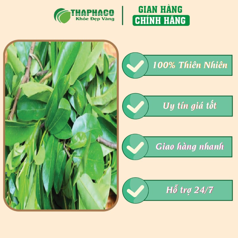 Giá bán trà túi lọc lá mãng cầu xiêm tại TP.HCM