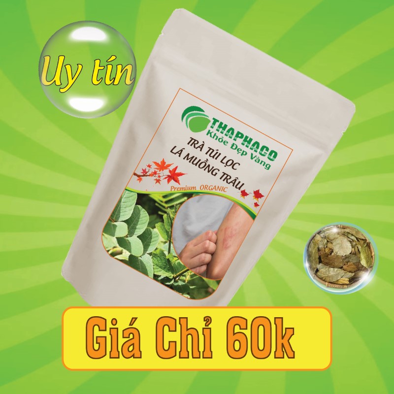 Nguyên liệu pha trà lá muồng trâu túi lọc có giá bán chỉ 60k