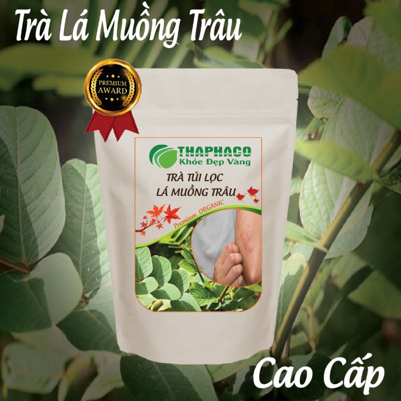 Nơi bán nguyên liệu pha trà túi lọc lá muồng trâu giá rẻ tại TP.HCM