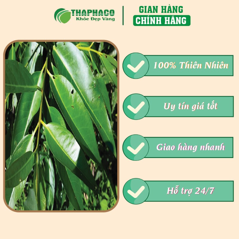 Giá bán trà túi lọc lá vối khô tại TP.HCM