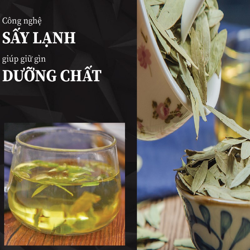 Trà túi lọc phan tả diệp giá rẻ tại THAPHACO