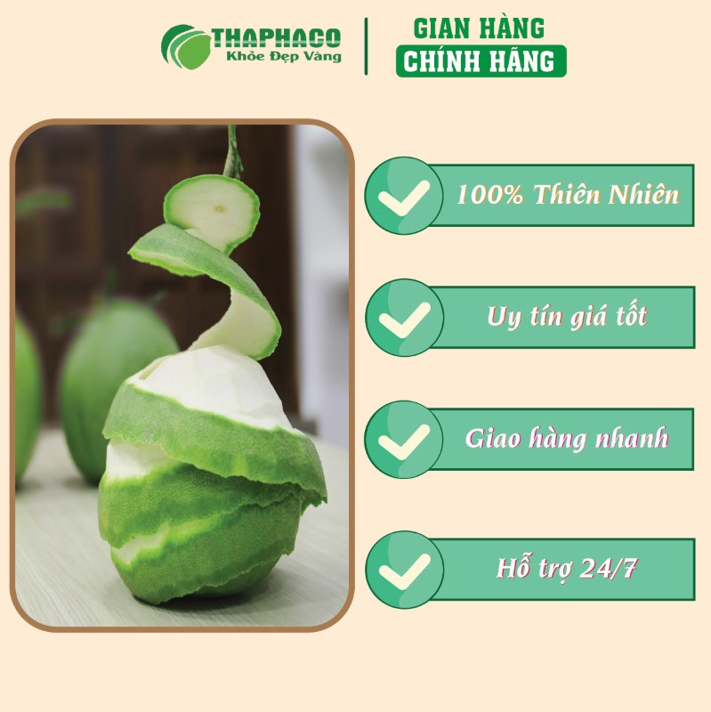 Trà túi lọc vỏ bưởi giá tốt chất lượng uy tín 