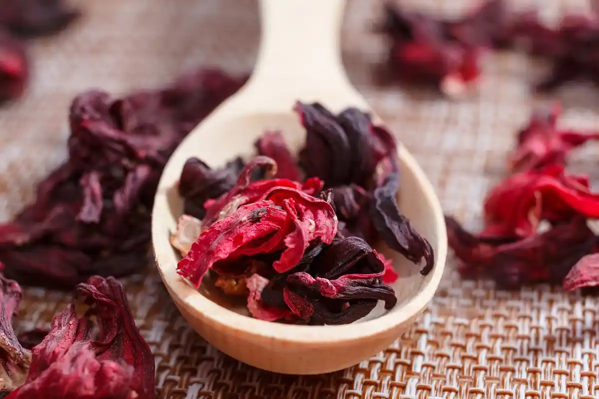 Hoa atiso đỏ nguyên chất 