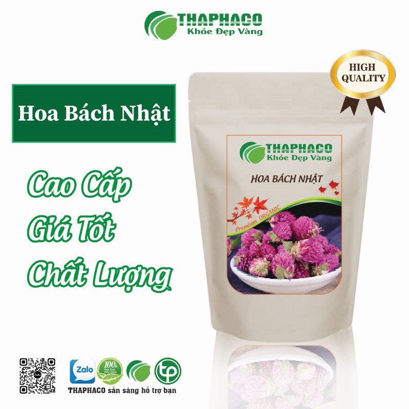 Địa chỉ bán hoa bách nhật uy tín tại TP.HCM