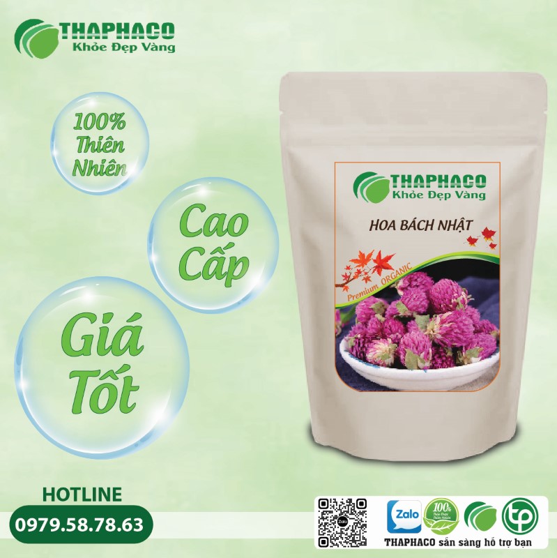 Hoa bách nhật giá bao nhiêu?