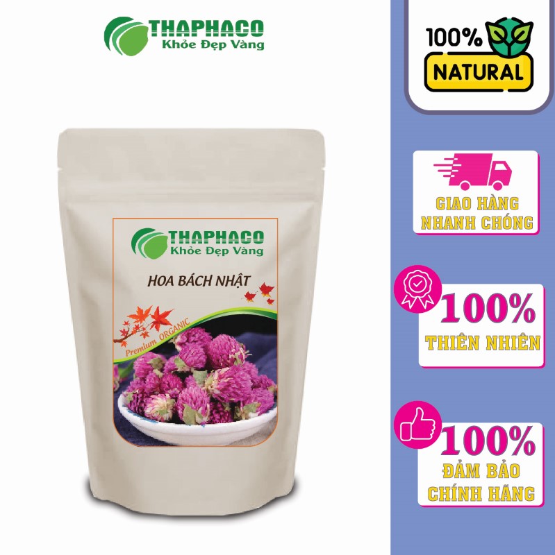 Mua hoa bách nhật giá tốt ở đâu?