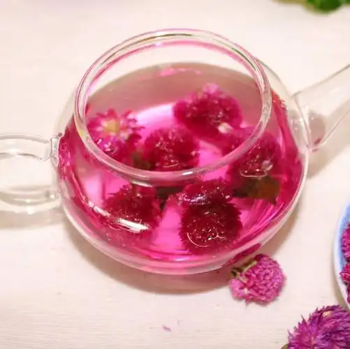 Uống trà bách nhật vào lúc nào để ngủ ngon