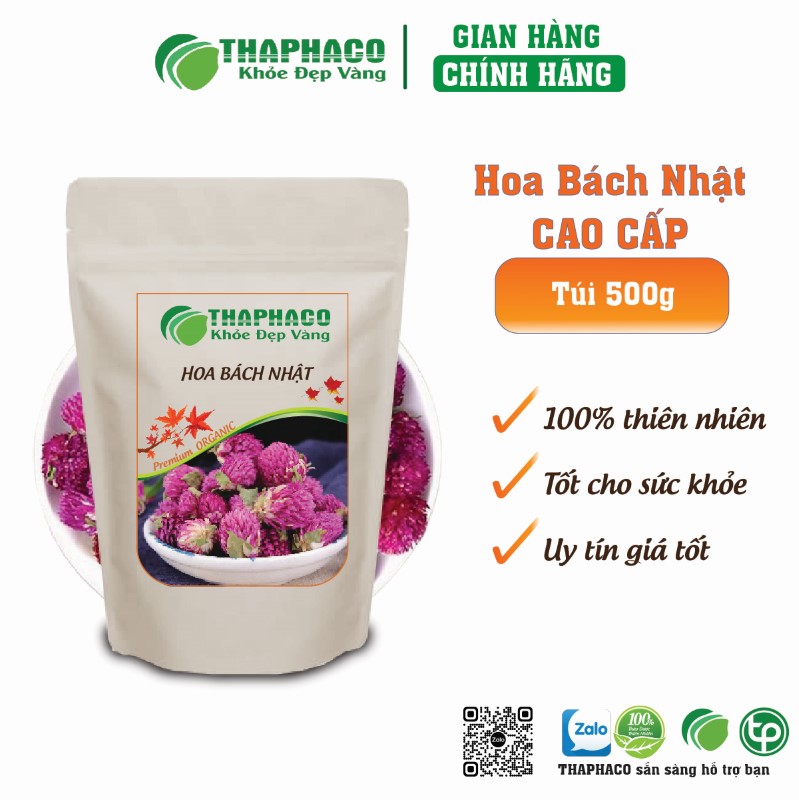 Ở đâu bán hoa bách nhật nguyên chất 