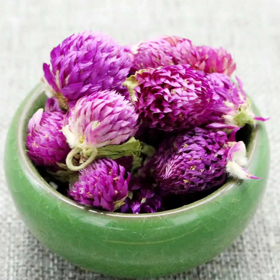 Câu chuyện về trà hoa bách nhật