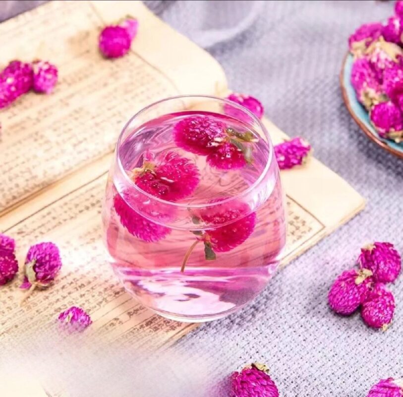 Những sai lầm thường gặp khi dùng trà hoa bách nhật