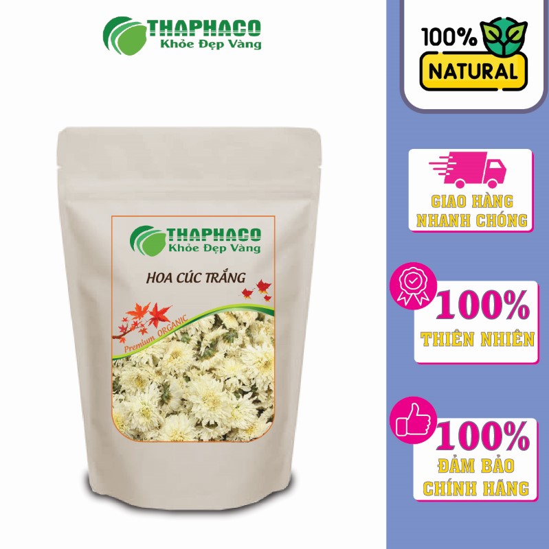 Chỗ bán hoa cúc trắng giá rẻ tại TP.HCM