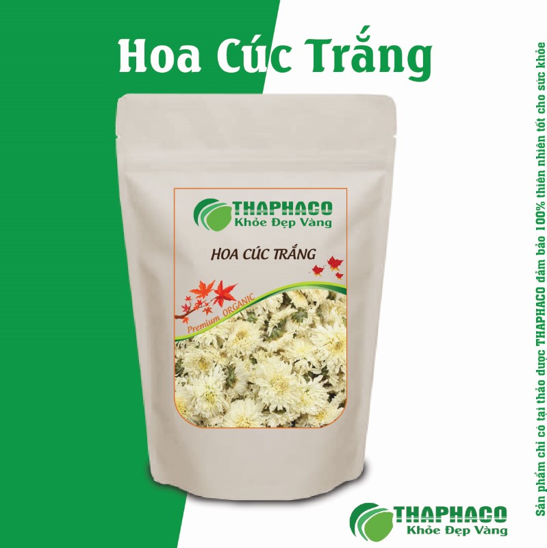 Ở đâu bán hoa cúc trắng nguyên chất 