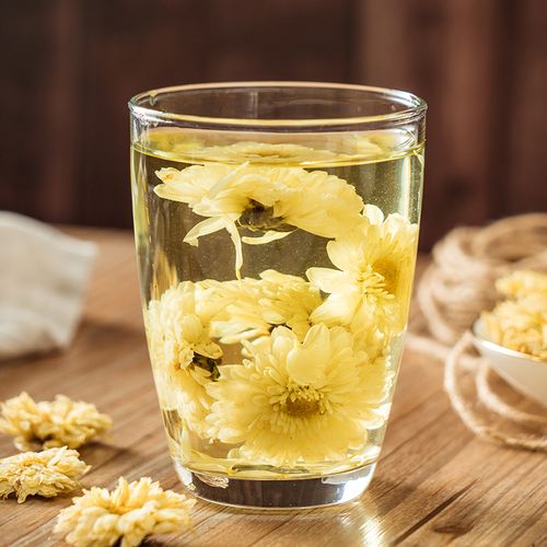 Trà cúc trắng dành cho dân văn phòng 