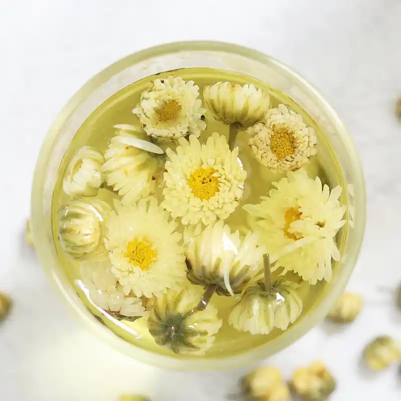 Nên đậy hay đóng nắp trà sau khi pha?