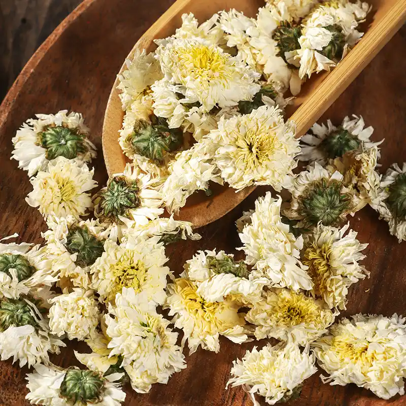 Kinh nghiệm chọn hoa cúc trắng sấy khô đúng chuẩn
