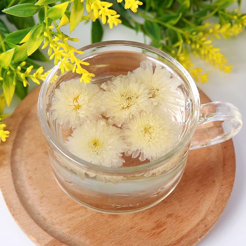 Trà hoa cúc trắng có hại không?