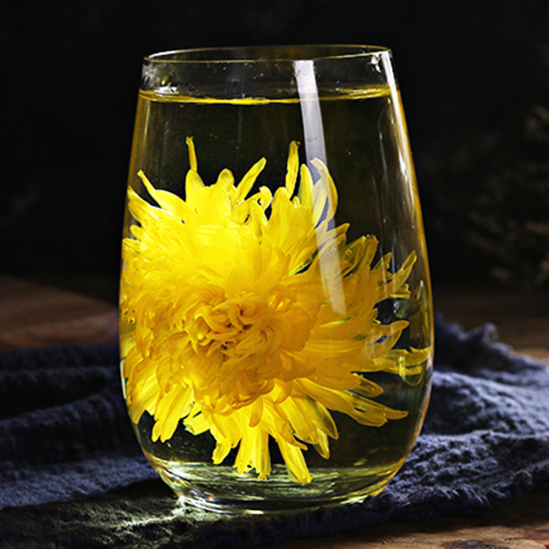 Những ai không nên uống trà hoa cúc vàng