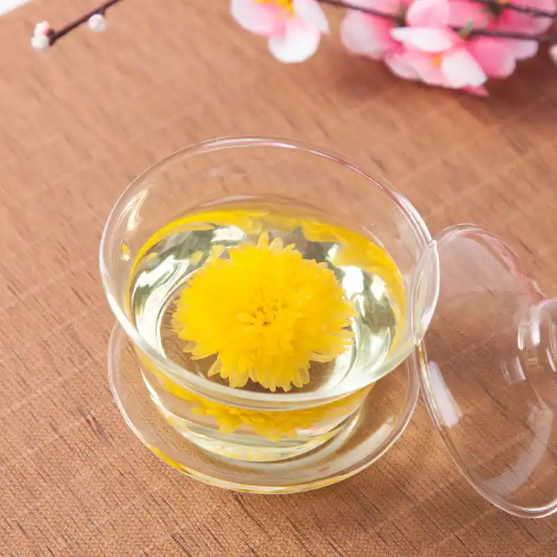 Dùng trà hoa cúc vàng bao lâu thì có hiệu quả