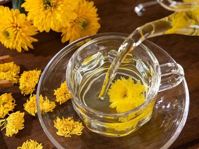 Uống trà hoa cúc vàng bao lâu thì hiệu quả