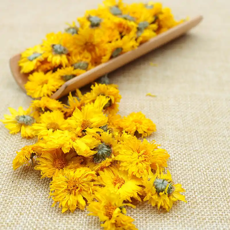 Hoa cúc vàng sấy lạnh 